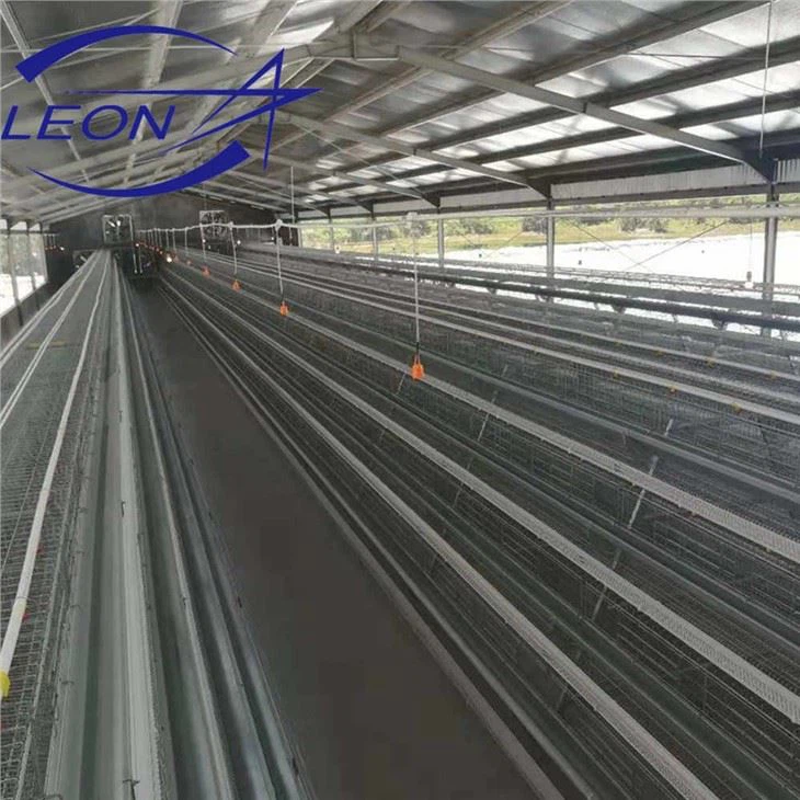 Cages System Poultry Bird Devices