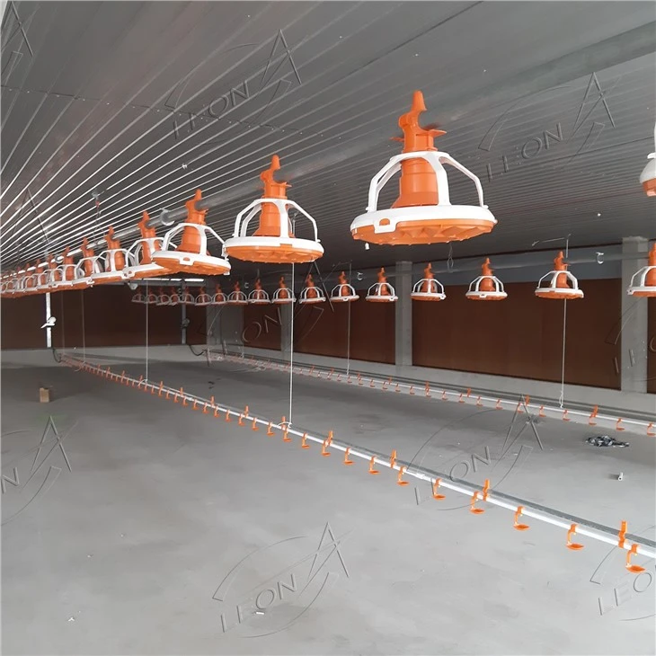 Chicken Broiler Raising