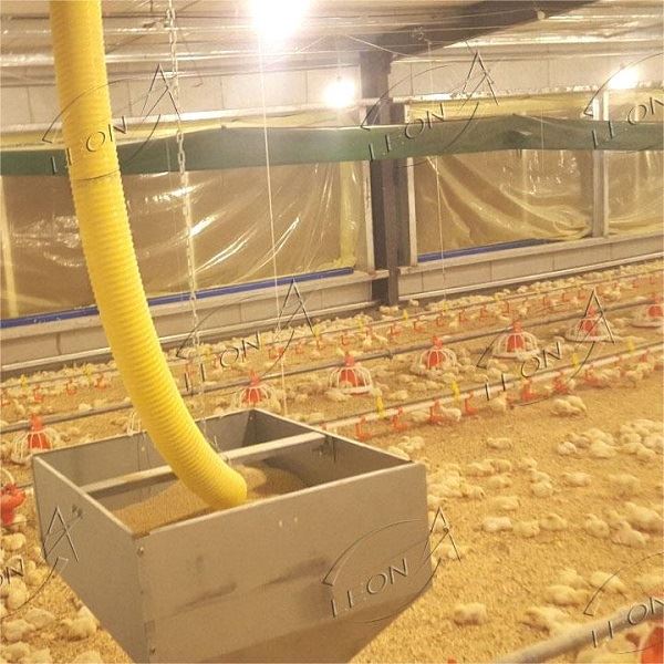 Leon Automatic Broiler Pan Feeding System Leon Automatic Broiler Pan Feeding System