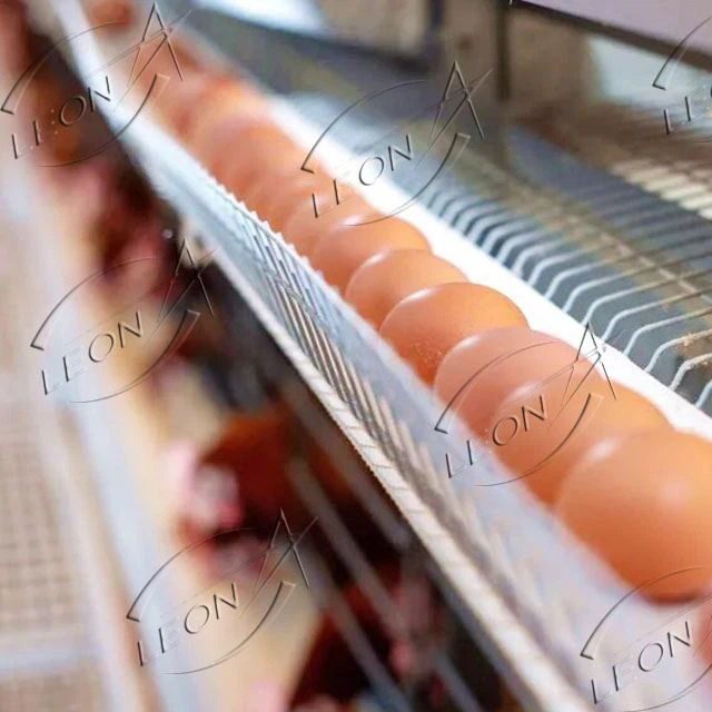Poultry Equipment Price Layer Cage System In Animal Cages