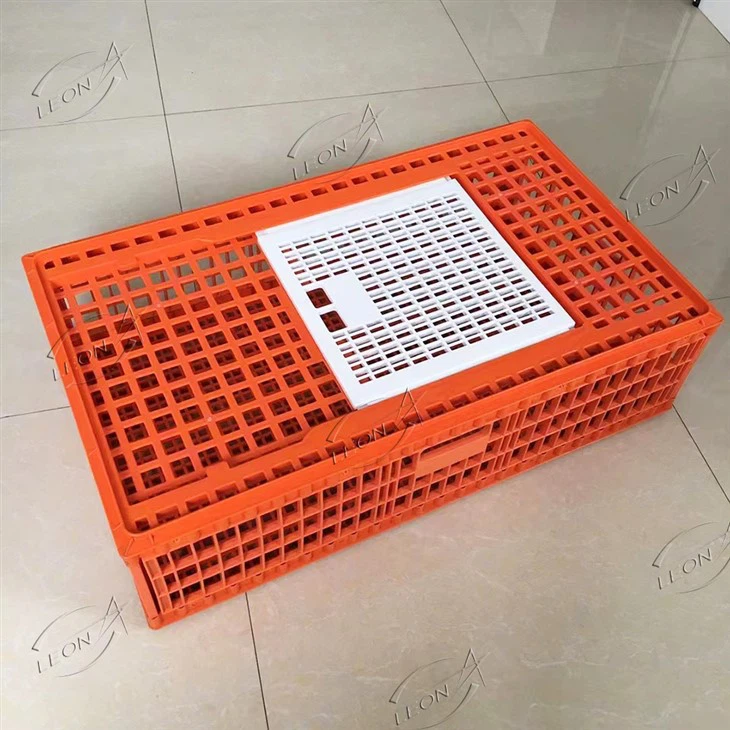 Pieaugušo cāļu transportēšanas būris