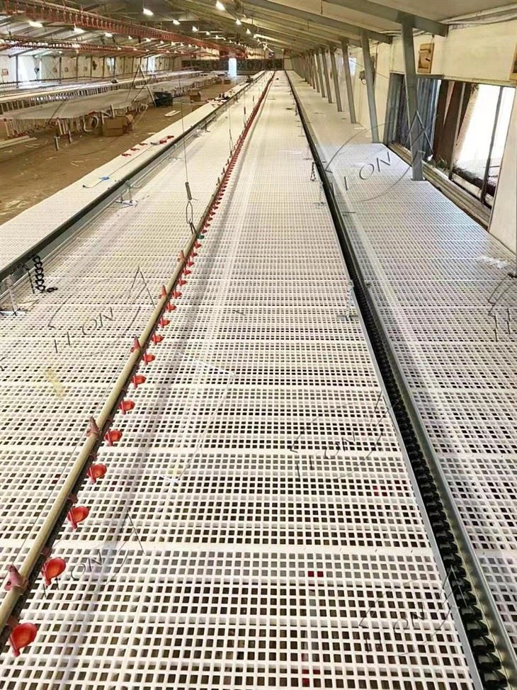 chicken house slats project