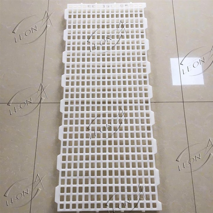 Chicken Plastic Slat Floor Chicken Plastic Slat Floor